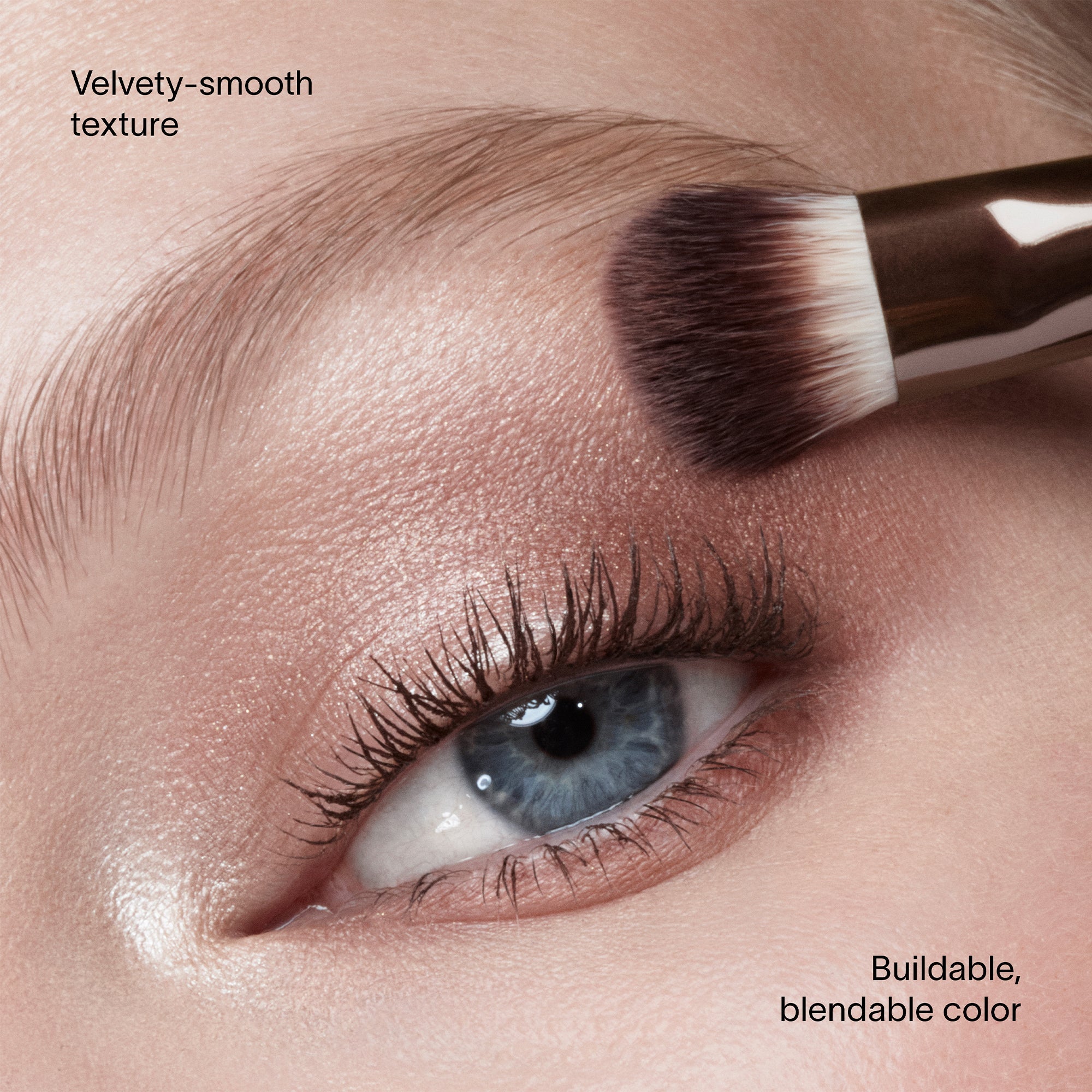 Curator Eyeshadow Palette