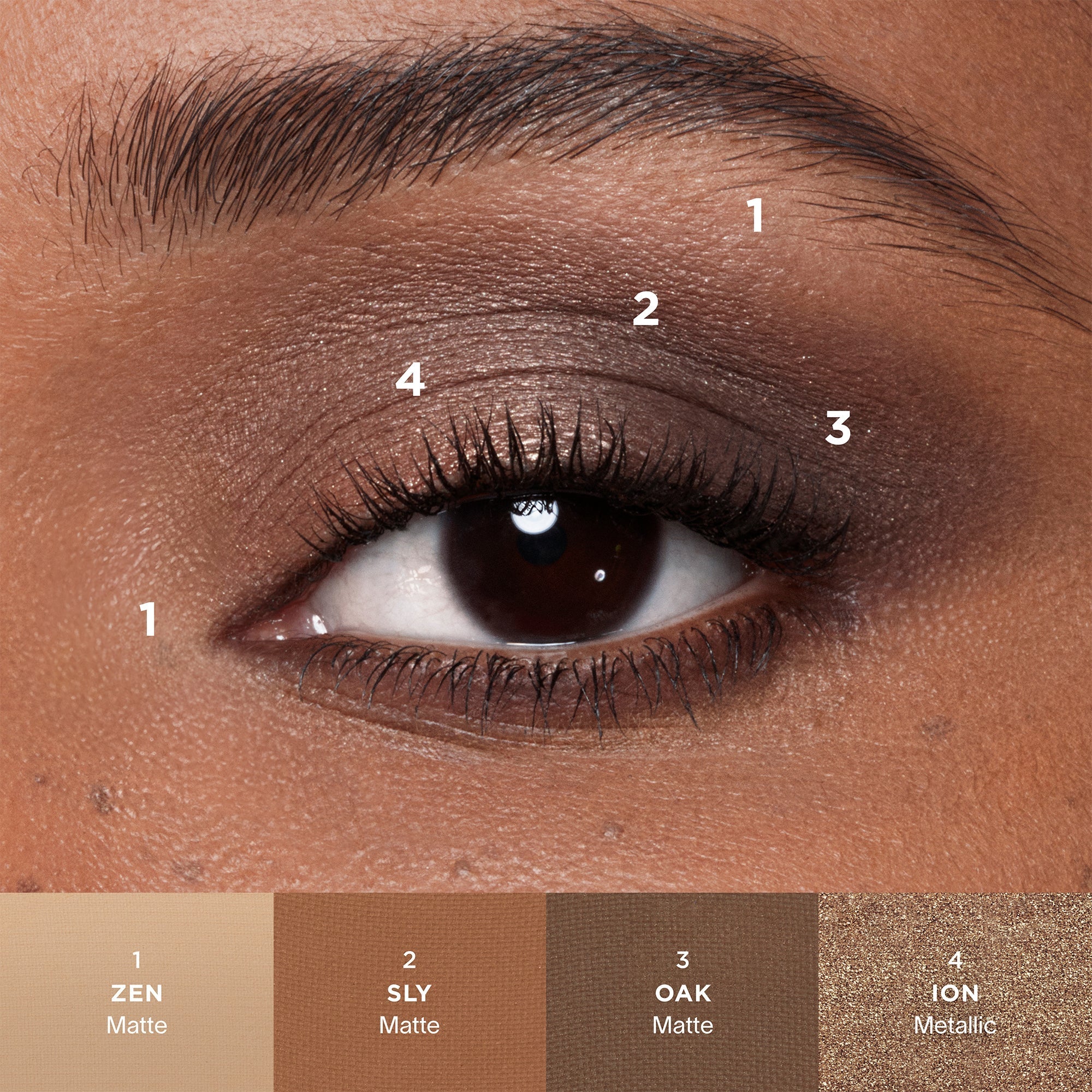 Curator Eyeshadow Refill